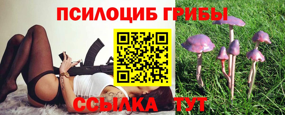 Псилоцибиновые грибы MAGIC MUSHROOMS  Псилоцибиновые грибы прущие грибы  наркота  Вход с VPN  Нижний Тагил 