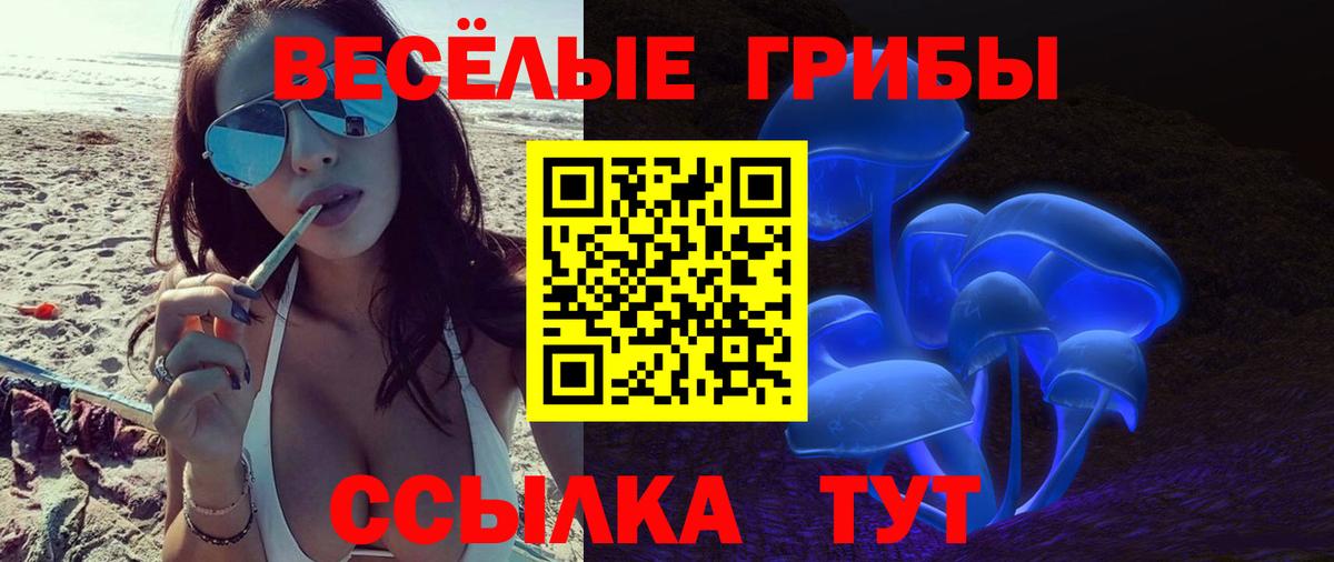 Псилоцибиновые грибы прущие грибы Нижний Тагил
